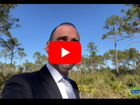 video 2