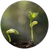 Operation Decarbonization