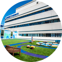 Cover Image: A Safe Health Care Environment